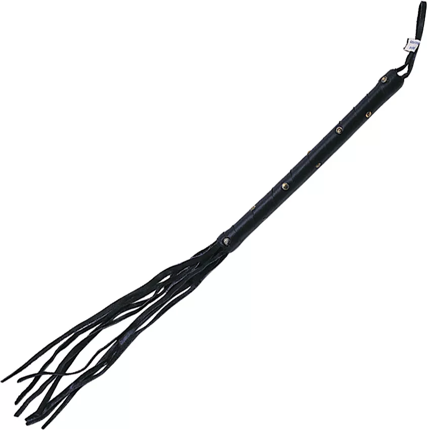 Cat of Nine Tails