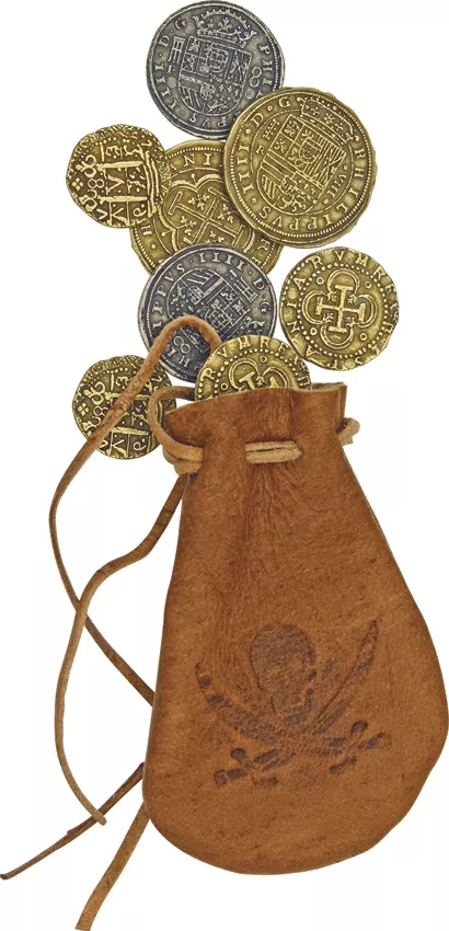 The Spanish Dollar