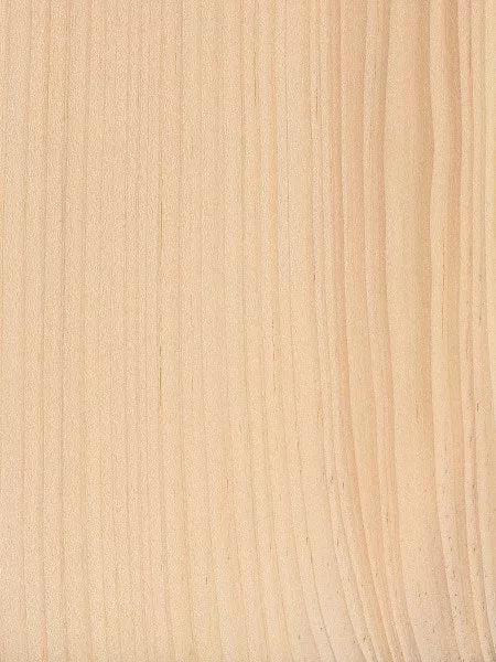 White Pine Rough Blocks